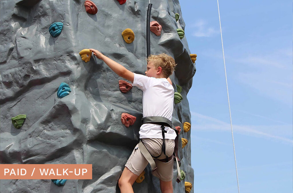 Climbing Wall