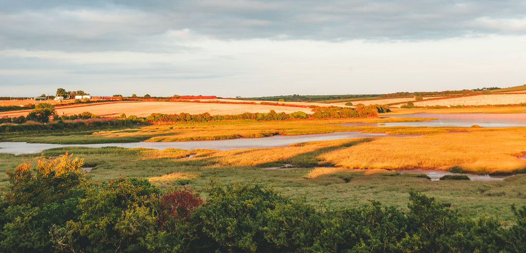 Rock Oyster 2022 Campsite View Views over Camel Estray